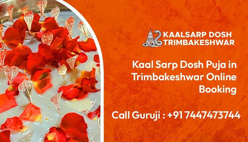 Rahu Ketu Pooja in Trimbakeshwar Cost and Online Booking