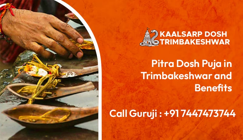 Pitra Dosh Puja in Trimbakeshwar and Benefits