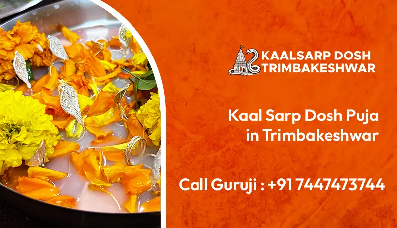 Kaal Sarp Dosh Puja in Trimbakeshwar